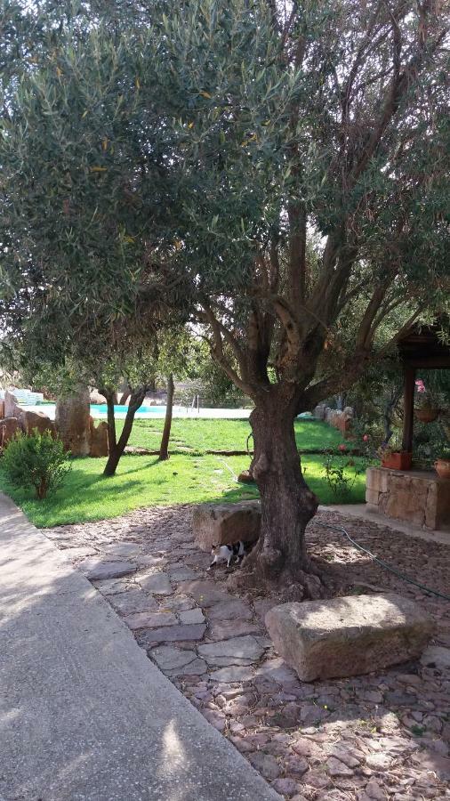 Agriturismo Sa E Padedda Mores Экстерьер фото