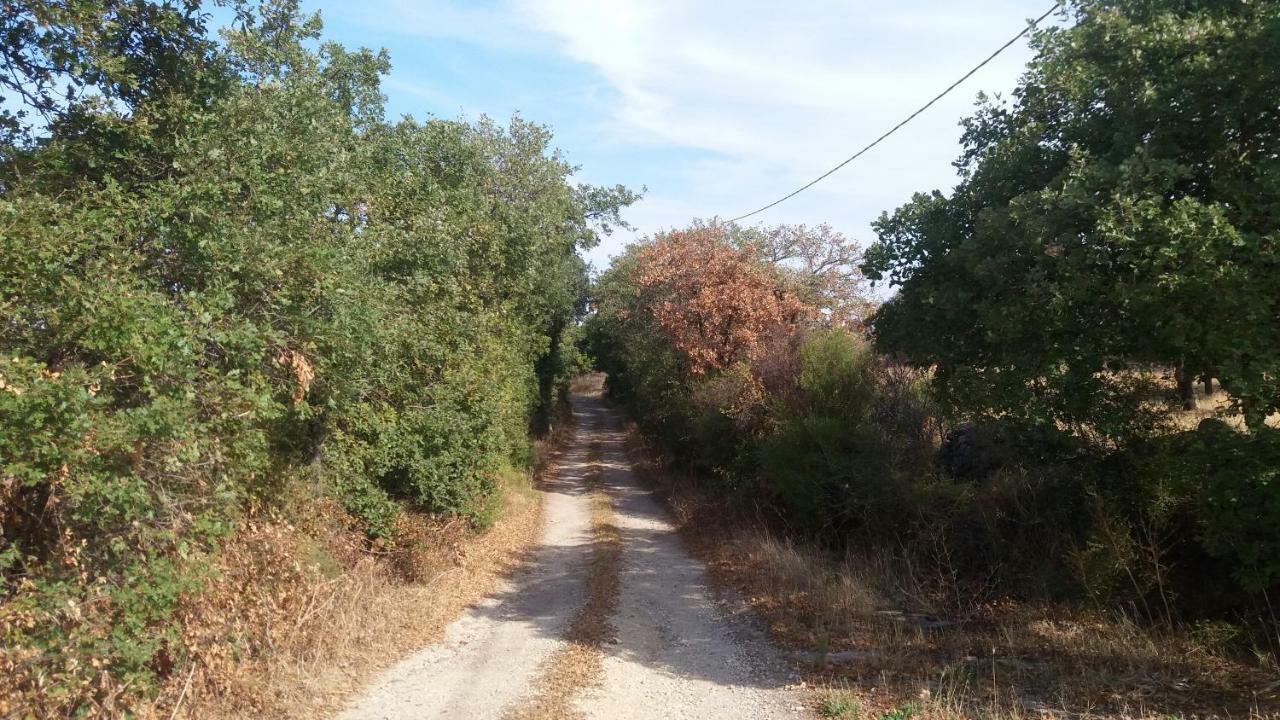 Agriturismo Sa E Padedda Mores Экстерьер фото